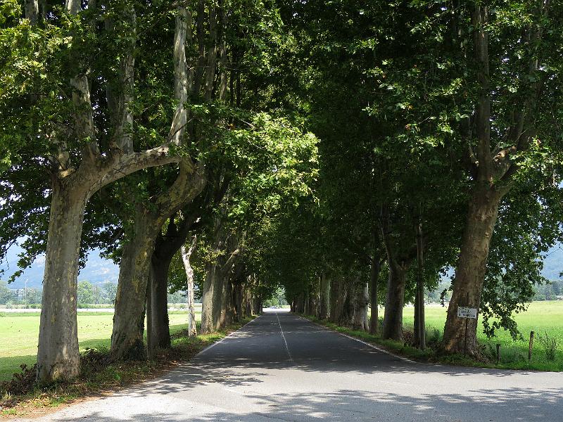 Piemont (397).JPG